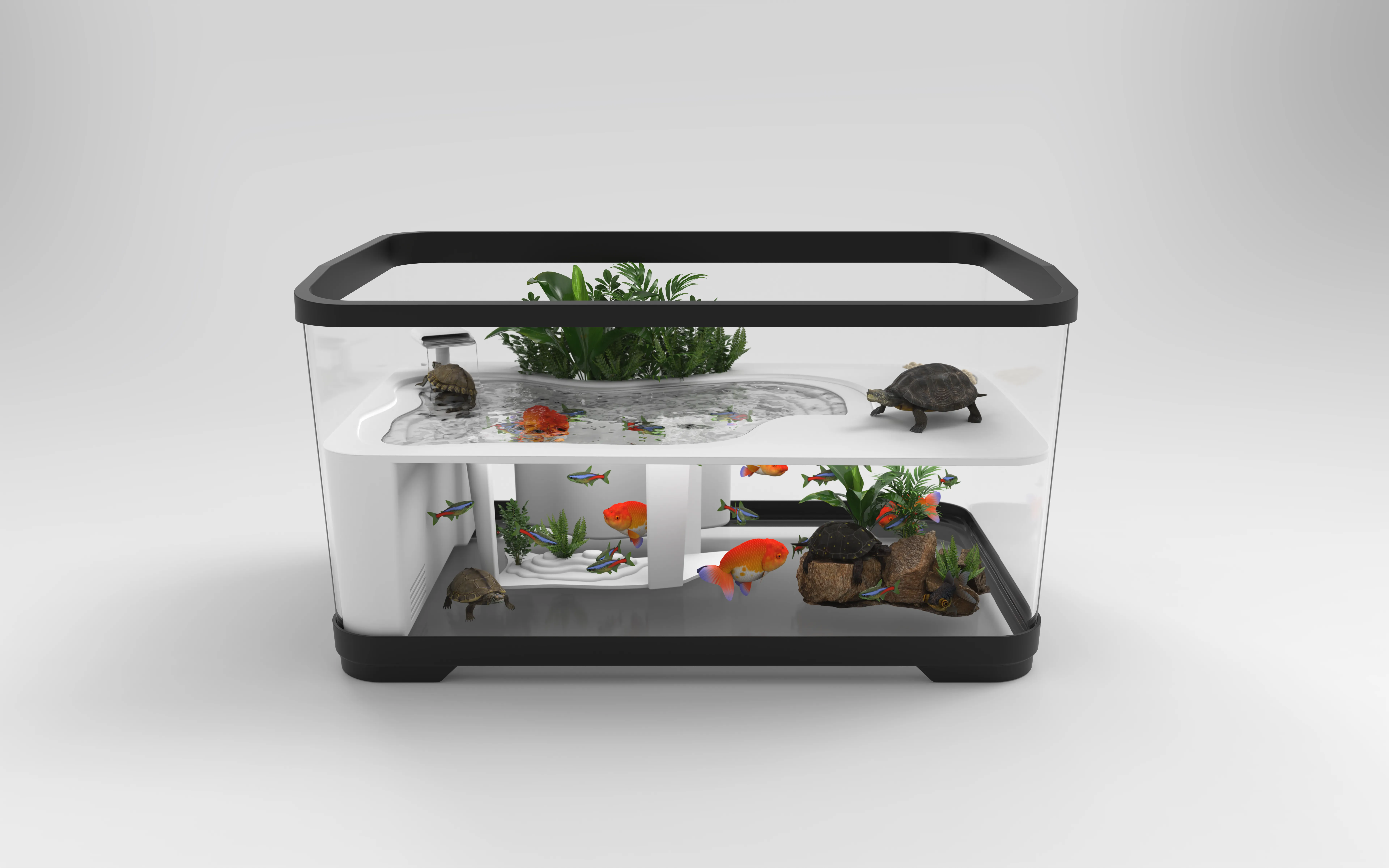 QH-2404 Turtle Climbing Platform